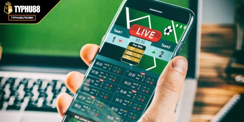 Kèo Tài Xỉu TYPHU88 Cách Đọc Và Bí Quyết Đặt Cược Hiệu Quả 3 Tận dụng tri thức từ các chuyên gia kèo tài xỉu TYPHU88